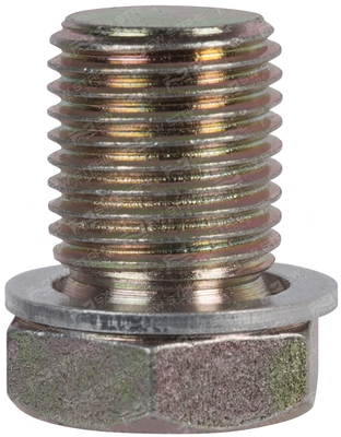 SW-Stahl Ölablaßschraube  03011L Verschlußschraube,Ölschraube,Verschlußschraube, Ölwanne