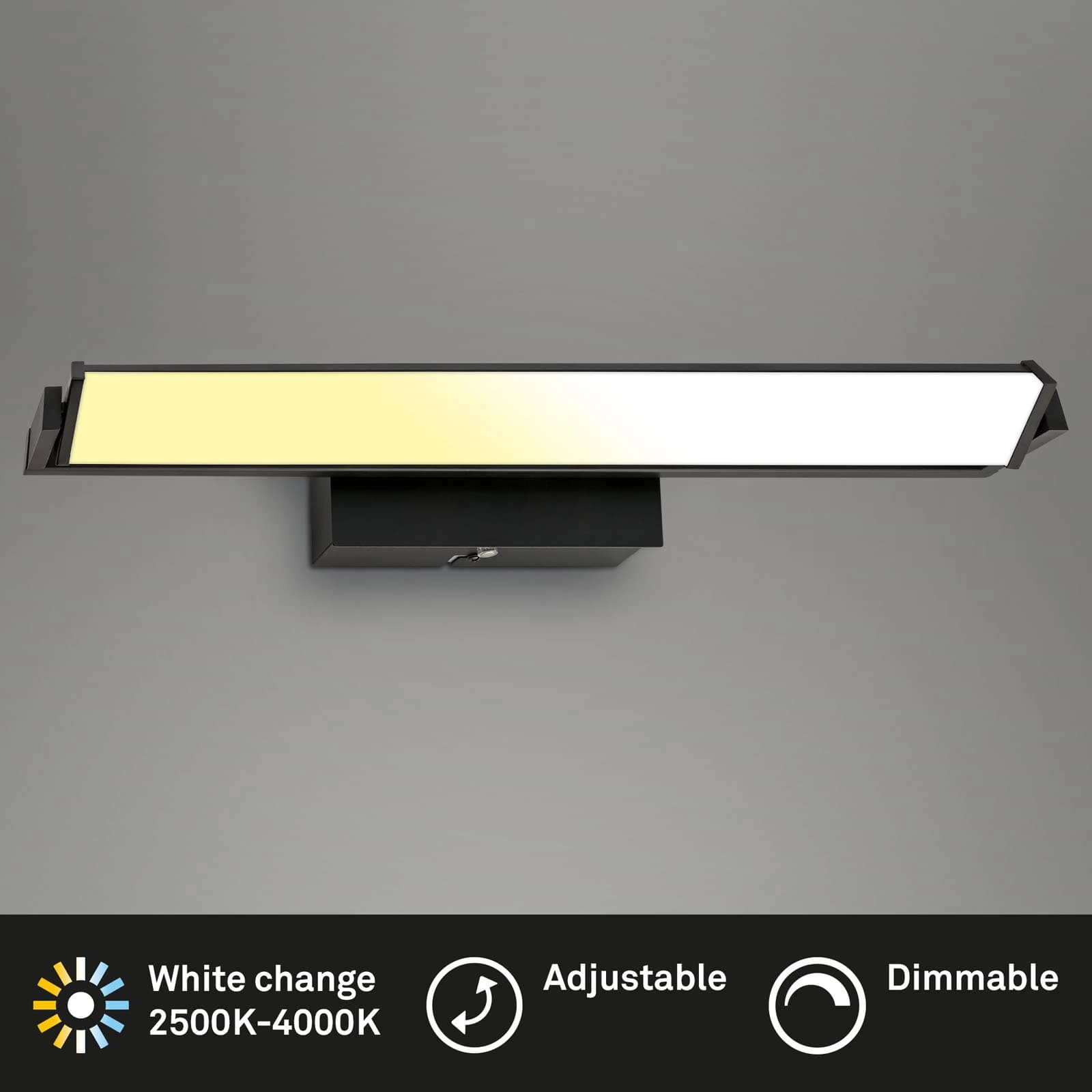LED Wandleuchte, mit CCT LED Panel, dimmbar 52,5 cm, 15 W, schwarz