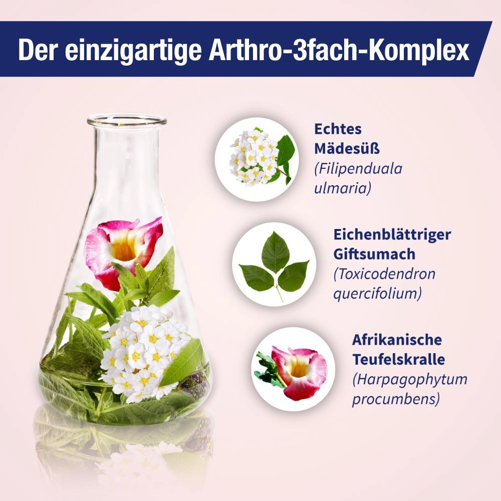 Gelencium® arthro