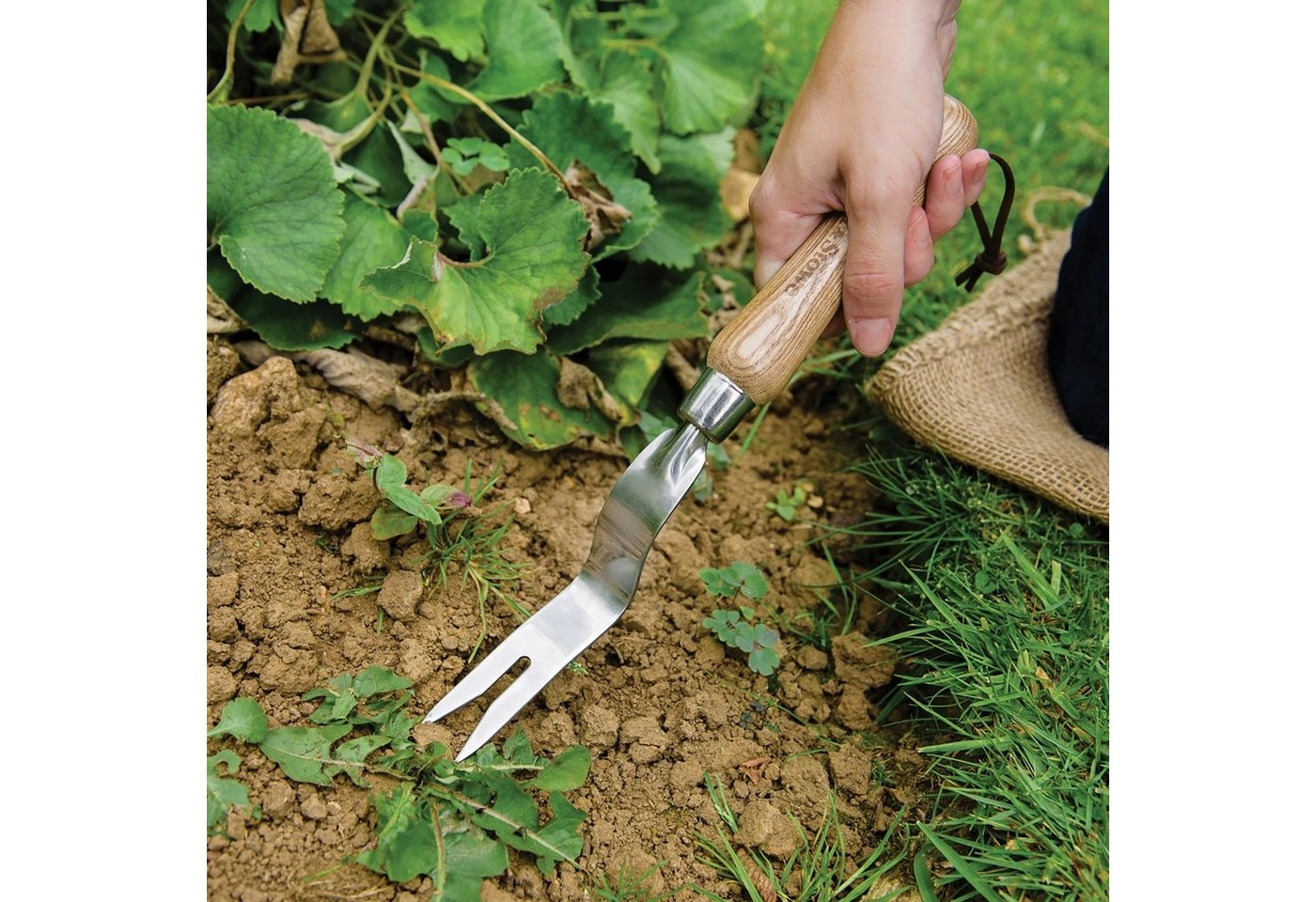 Kent & Stowe Unkrautstecher »Wurzelstecher«, 30 cm Gesamtlänge