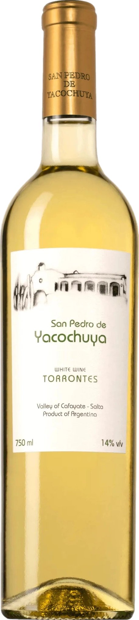 San Pedro de Yacochuya Torrontes 2021