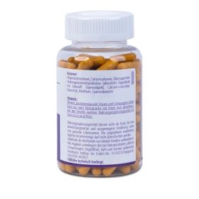 ViaBia Eisen Plus Kapseln