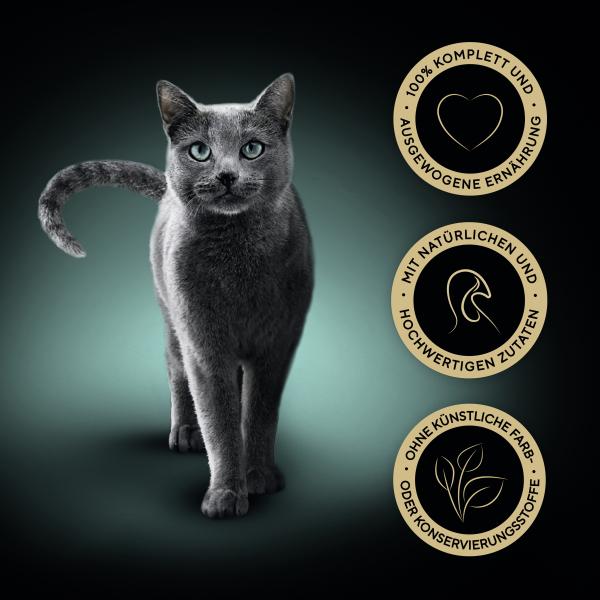 Sheba Sauce Collection Frikassee mit Truthahn und Gemüse 85G