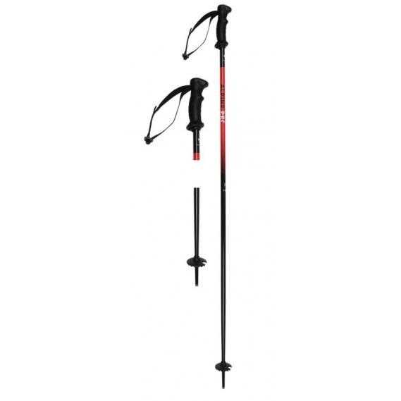 Skistock Witeblaze Alpine Pro