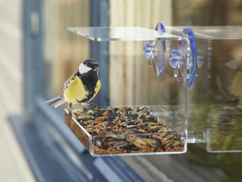 Vogelhaus fürs Fenster - Utenu