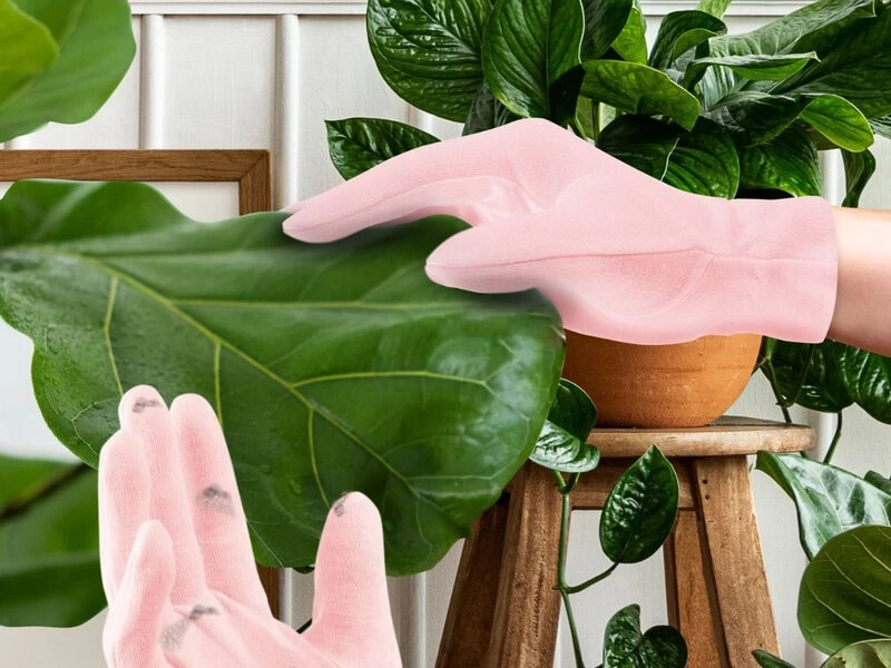 Mini Houseplant Reinigungshandschuhe Für Zimmerpflanzen