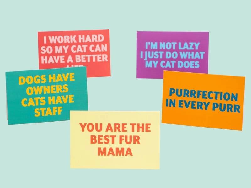 Grußkarten mit Zitat - Katze 10er-Pack