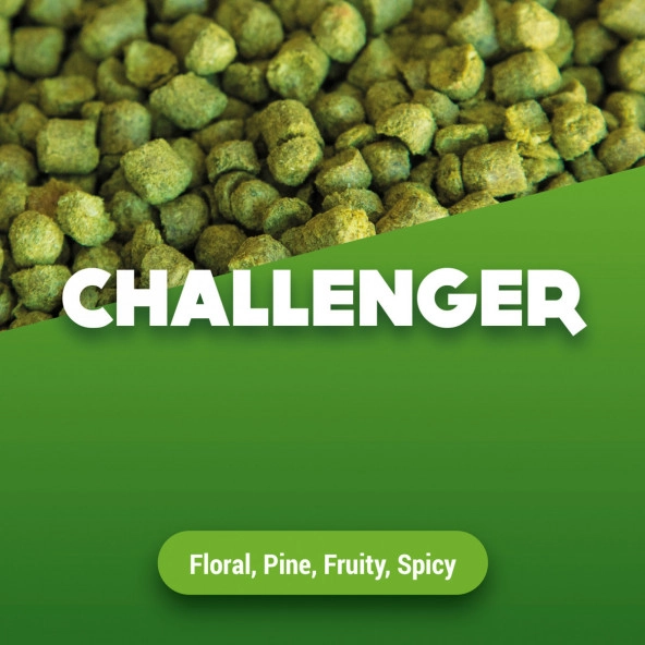 Hopfenpellets Challenger 100 g