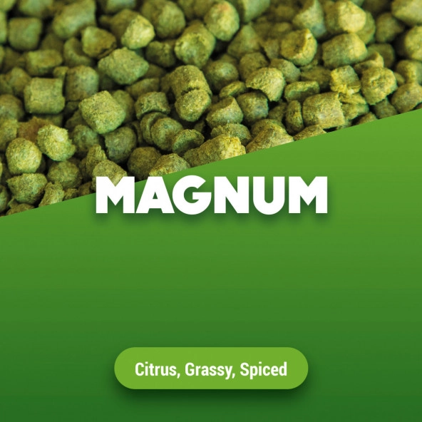 Hopfenpellets Magnum 1 kg