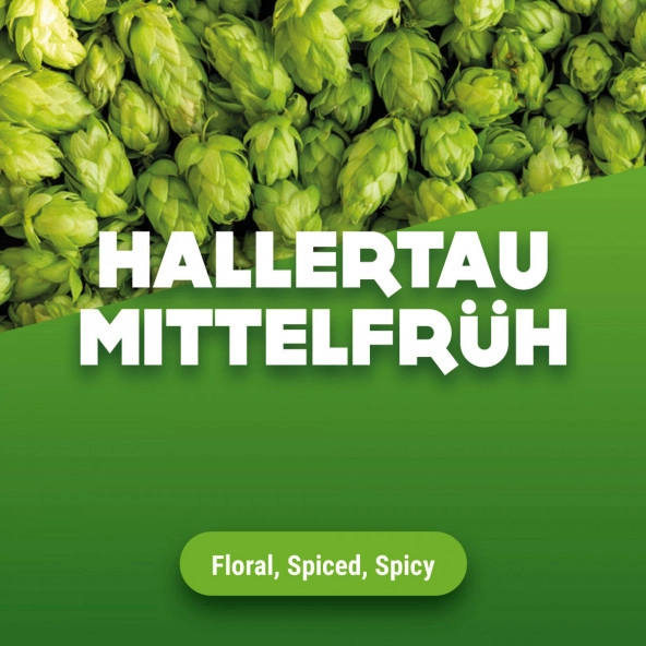 Rohhopfen Hallertau Mittelfrüh 2023 5 kg
