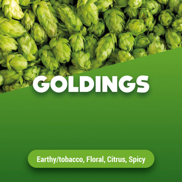 Rohhopfen Goldings 100 g