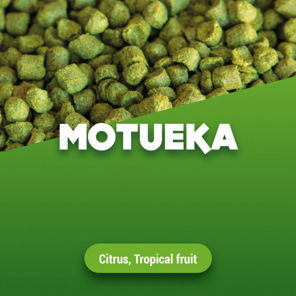 Hopfenpellets Motueka 1 kg