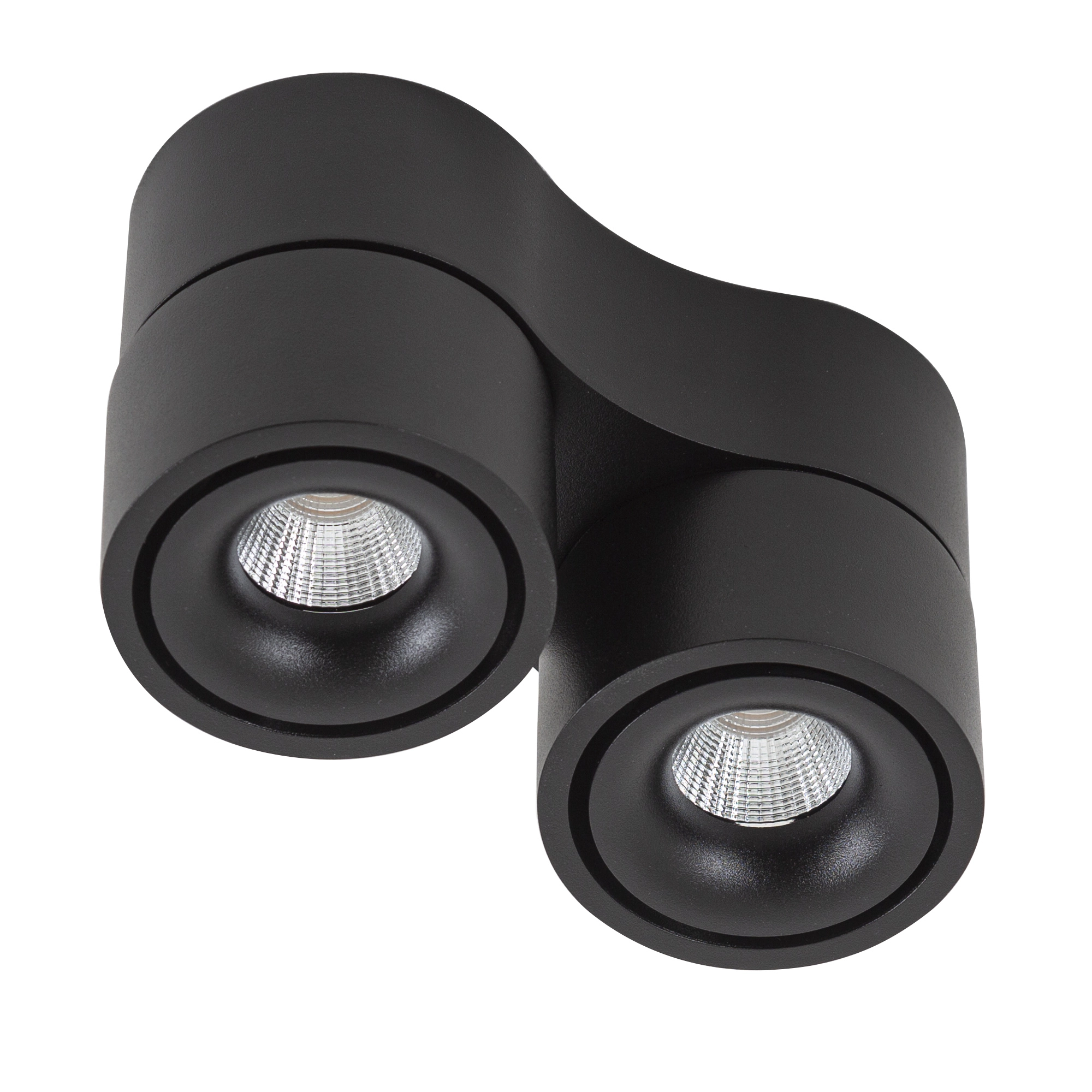 Ole 2 Deckenstrahler Schwarz