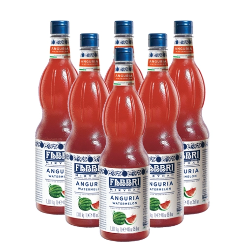 Fabbri - Mixybar Wassermelone Sirup - 6x 1ltr