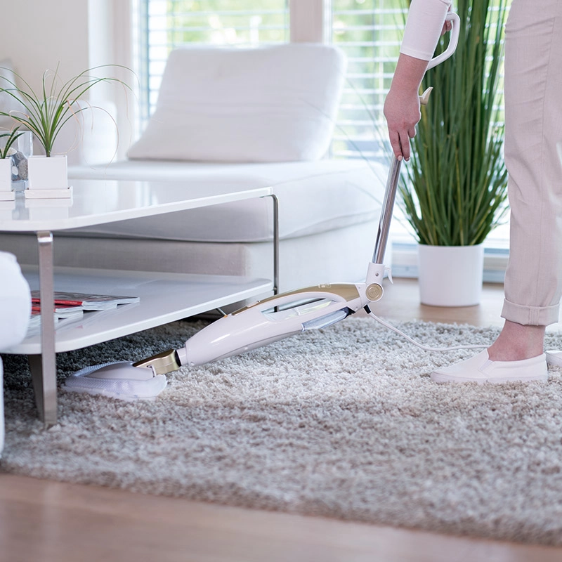 Livington Prime Steam Mop Dampfreiniger