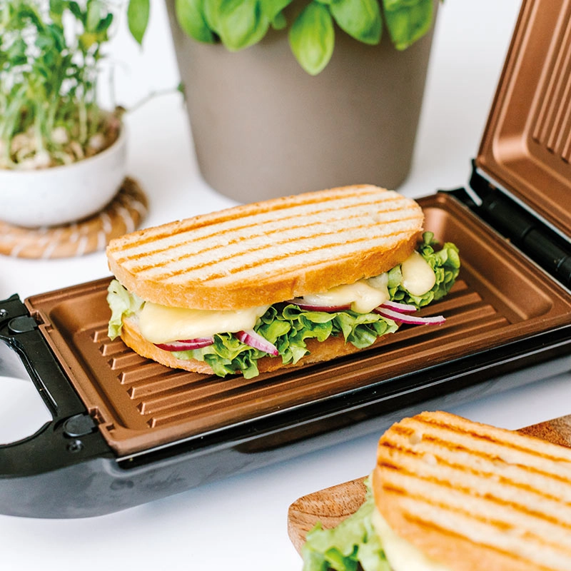 Livington FlipSwitch Multifunktionsgrill