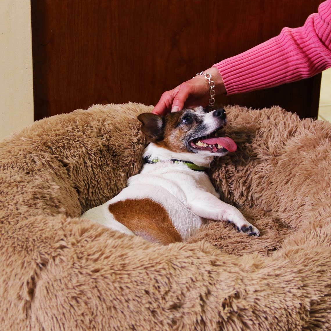 Peaceful Pooch Katzen- & Hundebett Small (58cm)