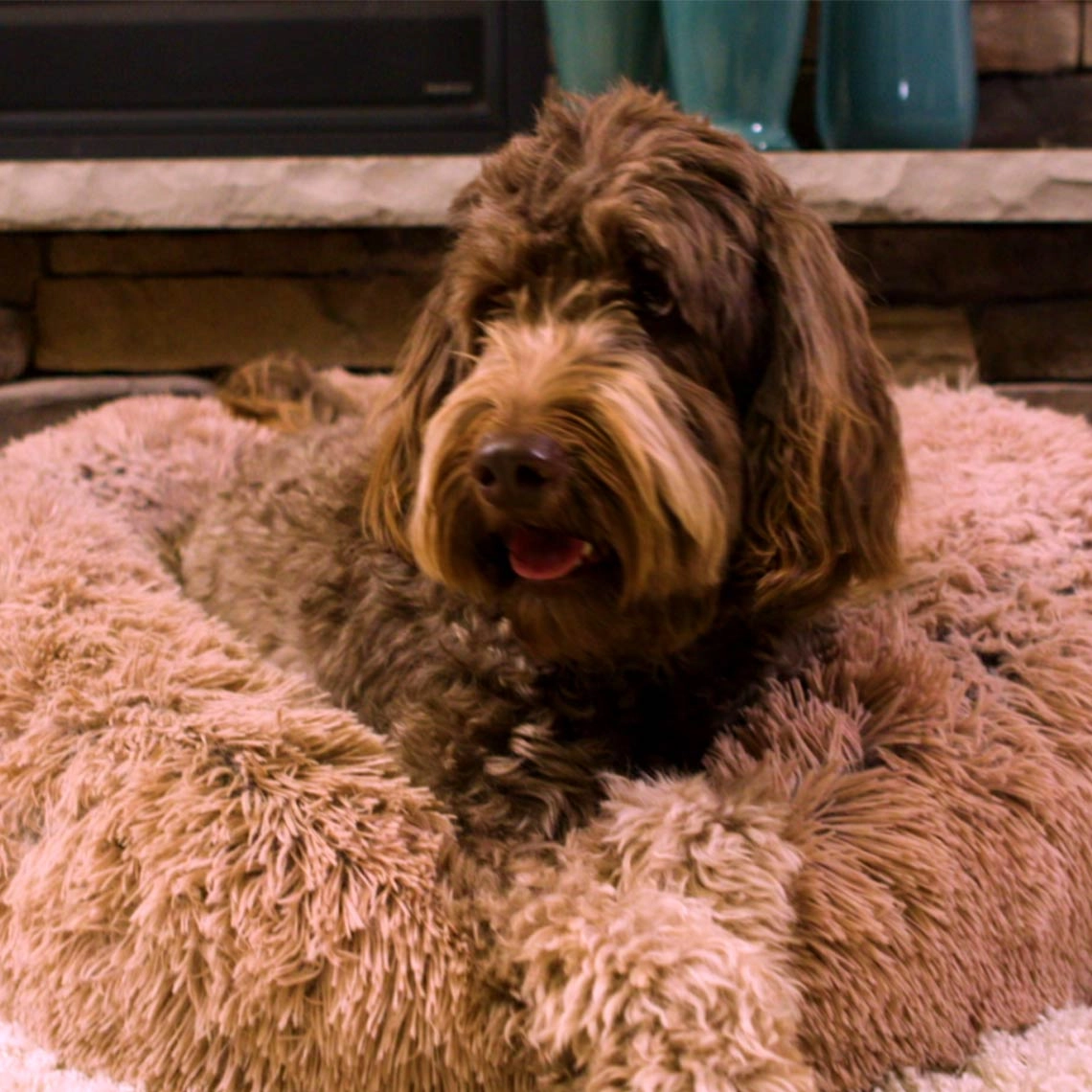 Peaceful Pooch Katzen- & Hundebett Small (58cm)