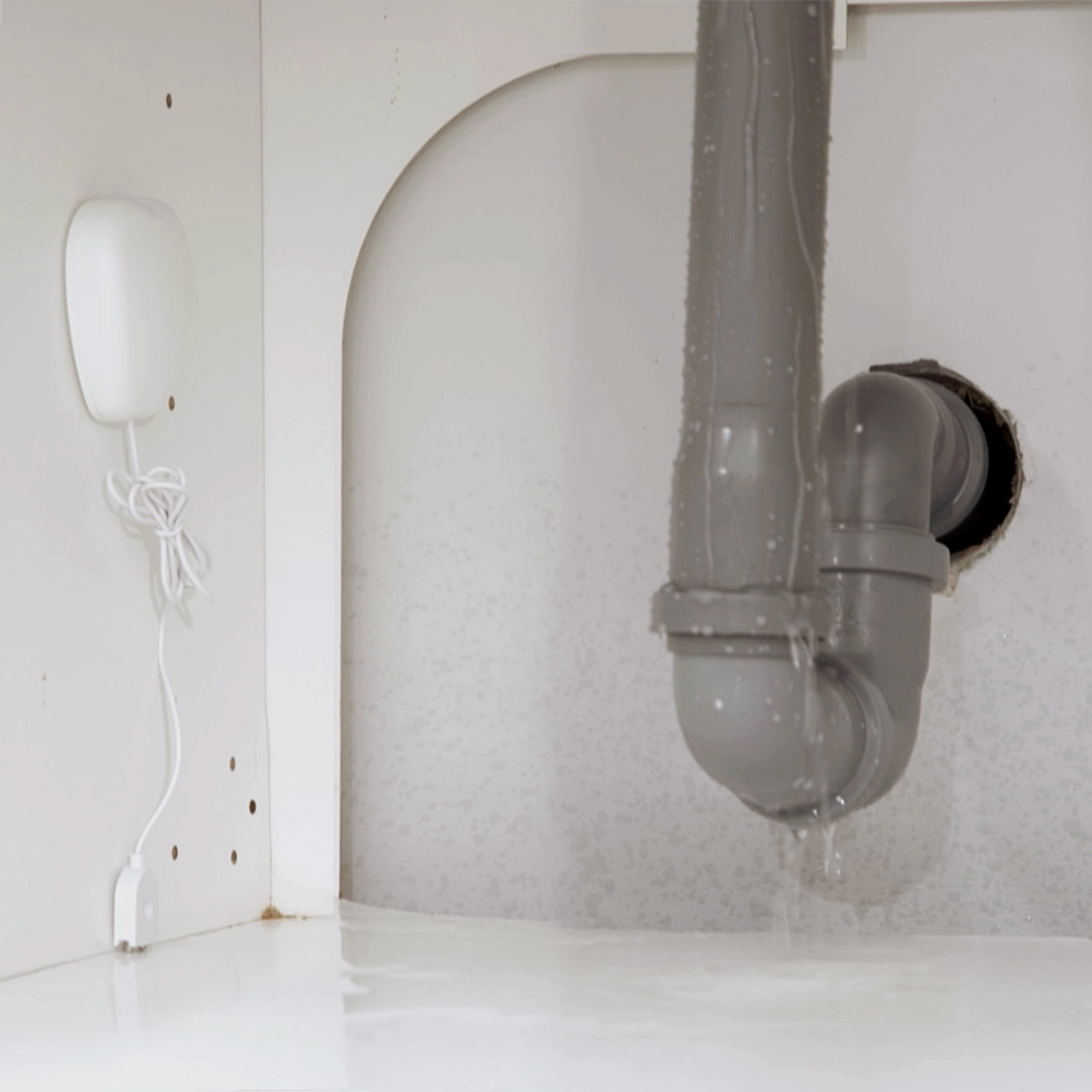 WaveWatcher elektronischer Wasserschadenmelder