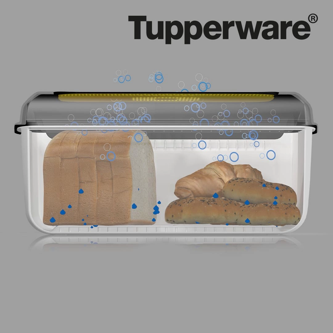 Tupperware BreadSmart Large Brotkasten