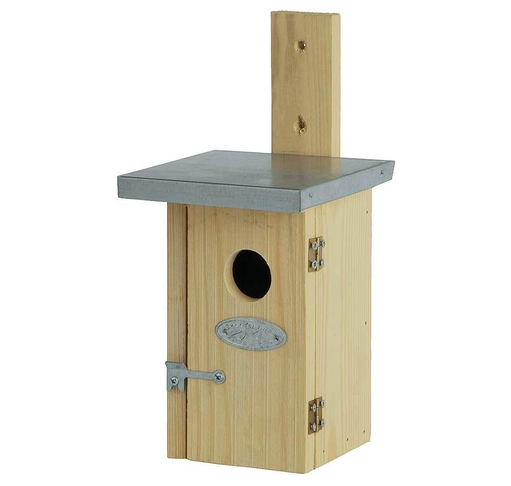 Vogelhaus für Zaunkönige Nistkasten Holz 17cm