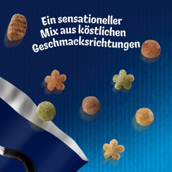 Felix Inhome Sensations Huhn 2 kg