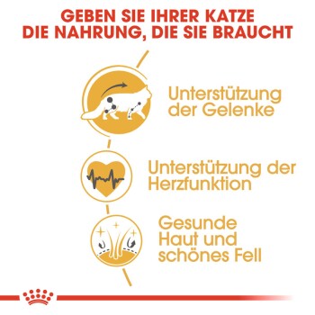 ROYAL CANIN Maine Coon Adult 2 kg