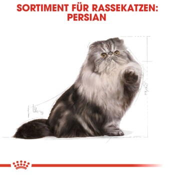 ROYAL CANIN Persian Adult 10 kg