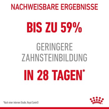 ROYAL CANIN Dental Care 8 kg