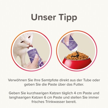 Beaphar Malt-Paste 250g