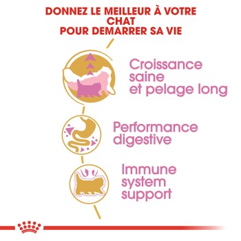 ROYAL CANIN Persian Kitten 4 kg