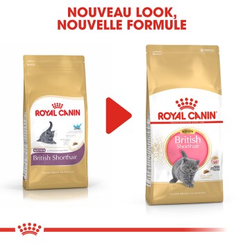 ROYAL CANIN British Shorthair Kitten 10 kg