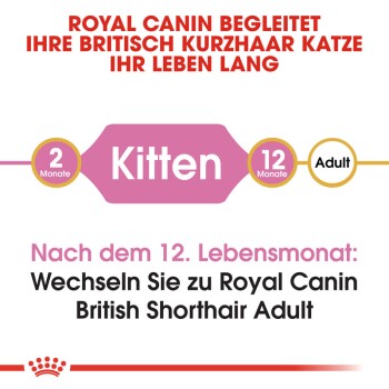 ROYAL CANIN British Shorthair Kitten 10 kg