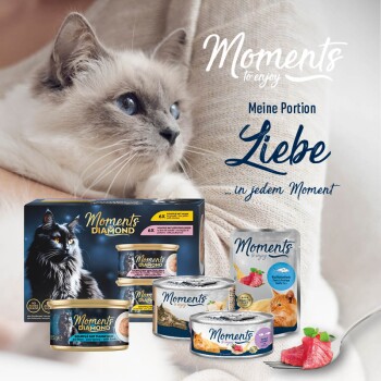 MOMENTS Adult Huhn und Thunfisch 12x70 g