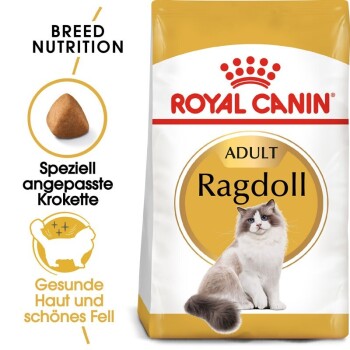 ROYAL CANIN Ragdoll Adult 10 kg