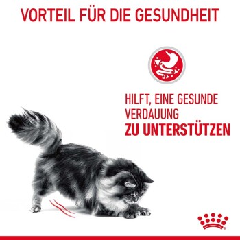 ROYAL CANIN Digestive Care 400 g