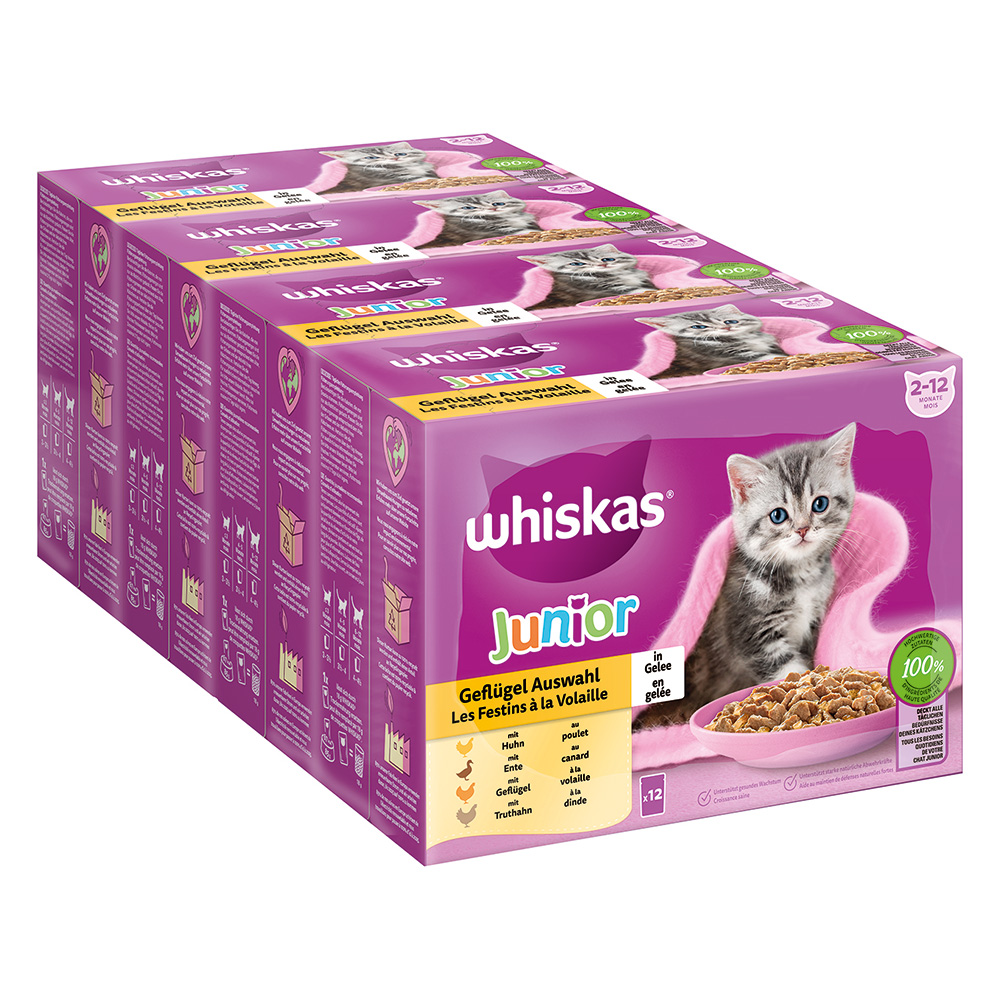 Whiskas Multipack Junior Geflügel Auswahl in Gelee 12 x 85g