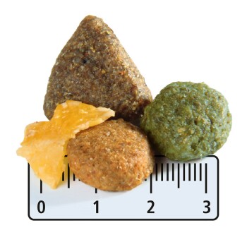 MultiFit Trockenfutter Hund Adult, mit Geflügel & Karotte 12 kg