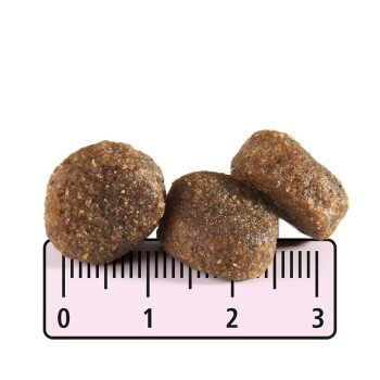 MultiFit Tockenfutter Hund Junior, Maxi, mit Geflügel & Reis 12 kg