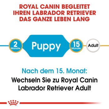 ROYAL CANIN Labrador Retriever Puppy 12 kg