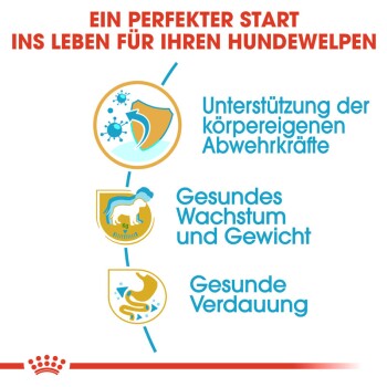 ROYAL CANIN Labrador Retriever Puppy 12 kg