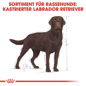 ROYAL CANIN Labrador Adult Sterilisiert 12 kg
