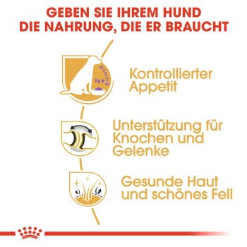 ROYAL CANIN Labrador Adult Sterilisiert 12 kg