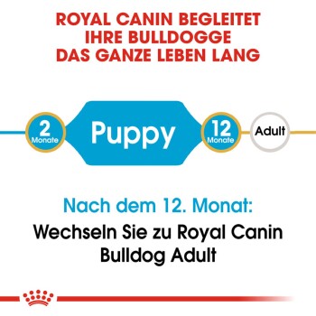 ROYAL CANIN Bulldog Puppy 3 kg