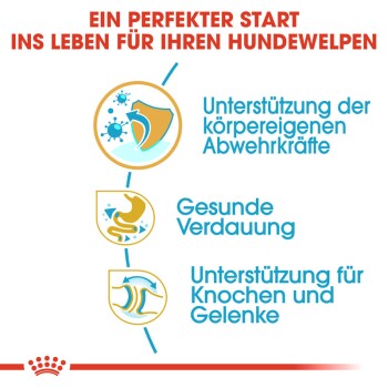 ROYAL CANIN Bulldog Puppy 3 kg