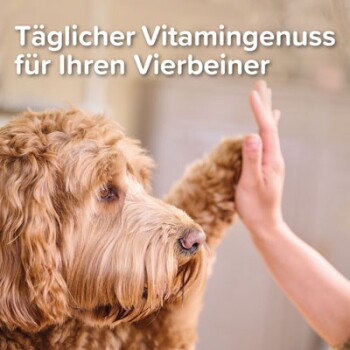 Beaphar Multi Vitamin Paste Hund, 250g