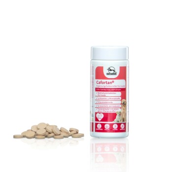 Fortan Cafortan Multivitamintabletten