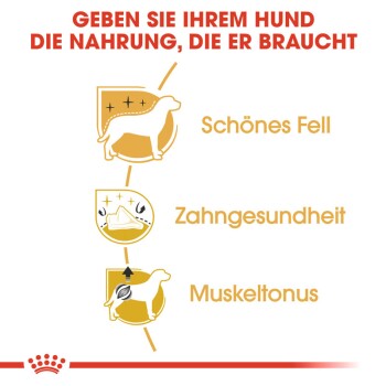 ROYAL CANIN Poodle Adult 1,5 kg