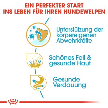 ROYAL CANIN BHN Shih Tzu Puppy 1,5kg