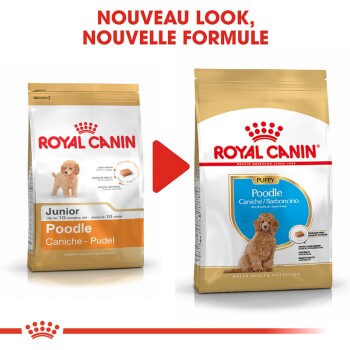 ROYAL CANIN BHN Poodle Puppy 3kg
